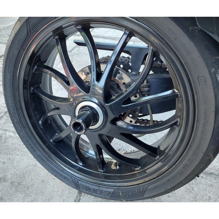 Προστατευτικά μανιτάρια πίσω τροχού για Triumph Speed Triple 1050 2008-2020